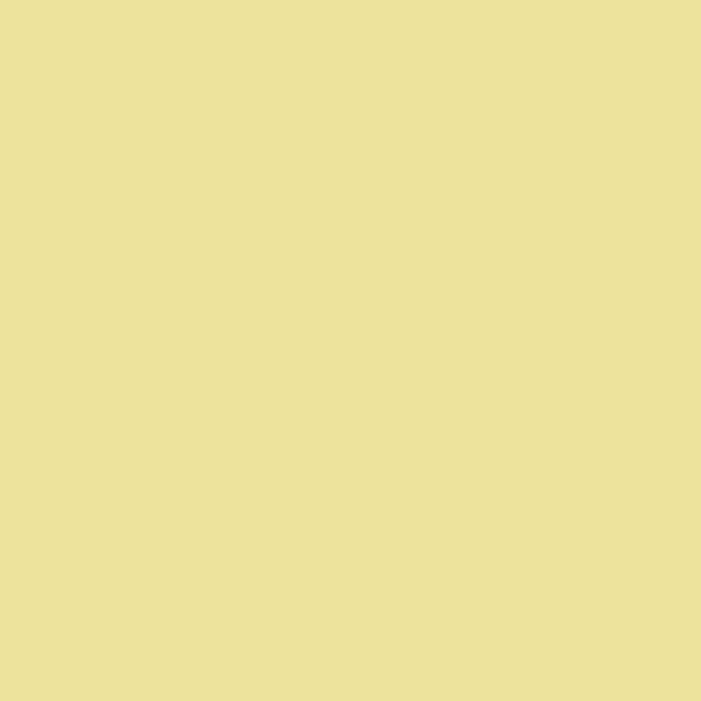product-details-image-ye-dark-cream