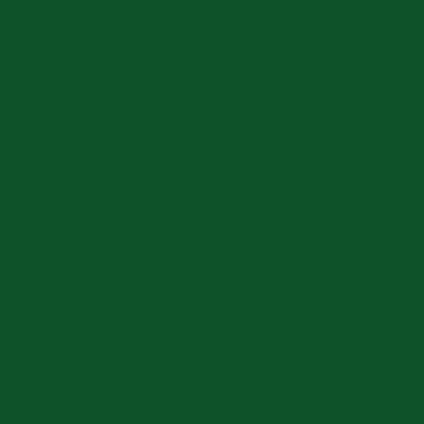 product-details-image-apple-green