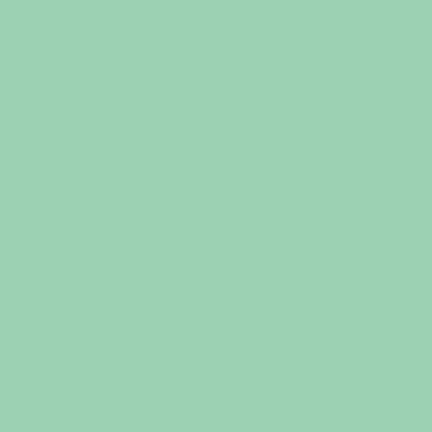 product-details-image-green-gn04