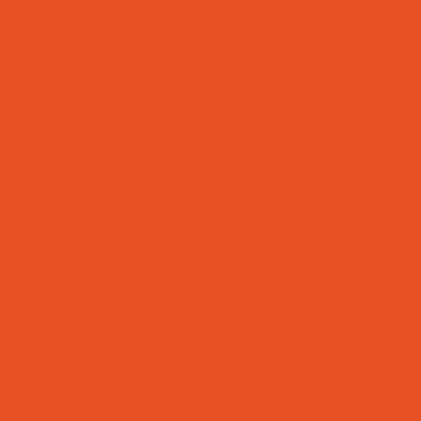 product-details-image-orange