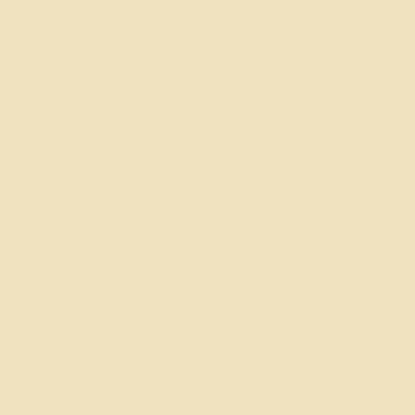 product-details-image-rose-white