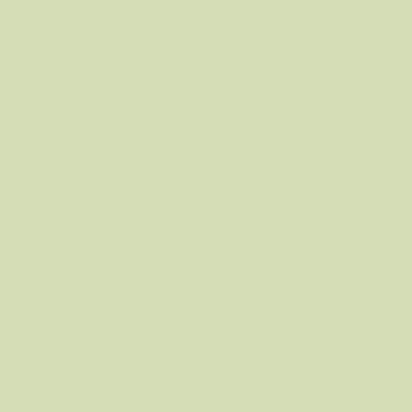 product-details-image-green-silver-mist