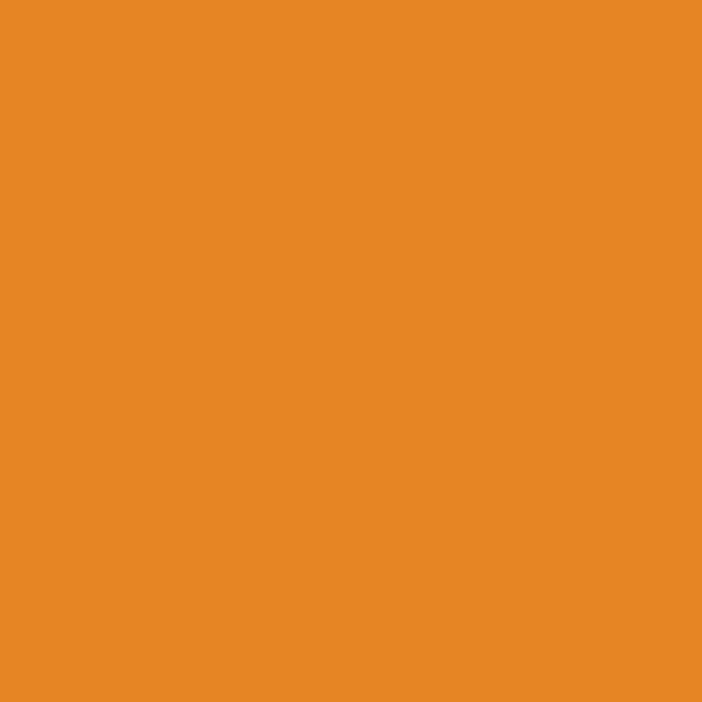 product-details-image-or-tangerine